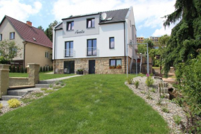 Vila Aneta Luhacovice